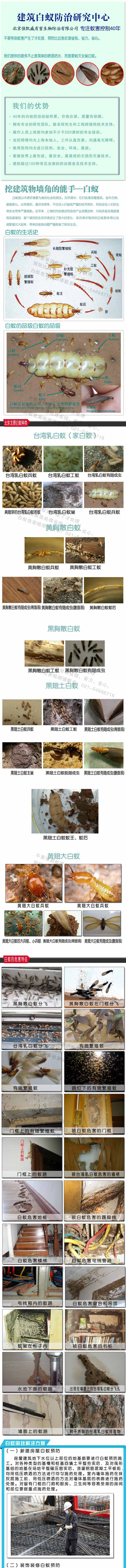 蟑螂防治方法,蟑螂怎么灭,家里有蟑螂怎么办