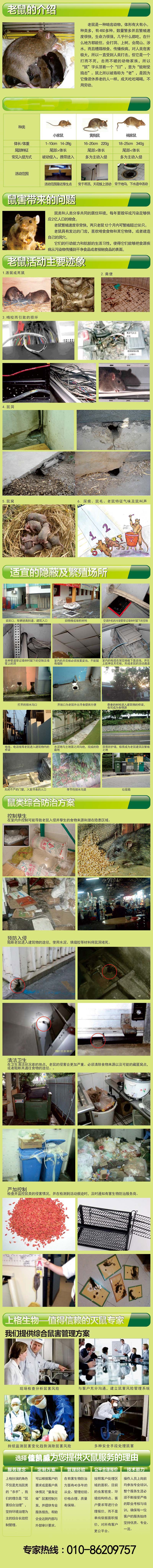 灭鼠公司，抓鼠公司，有老鼠怎么办，老鼠怎么灭