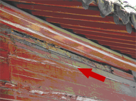 文物保护单位蟑螂防治案例