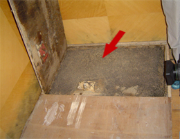 家庭蟑螂灭巢案例