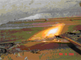 新装修房屋蟑螂预防