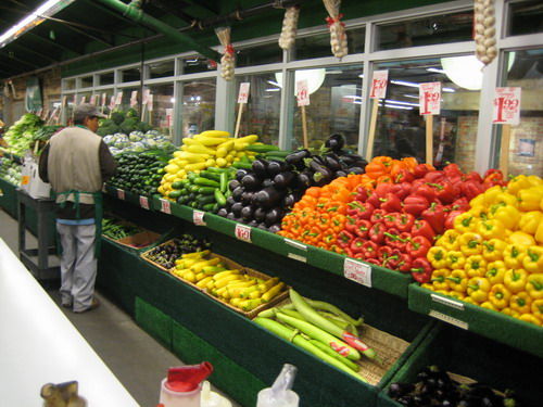 农贸市场与商场如何灭鼠？灭鼠最佳方法