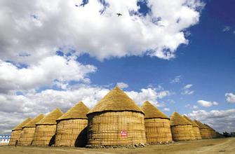 灭老鼠公司教您如何在粮仓、粮食加工厂进行防鼠？