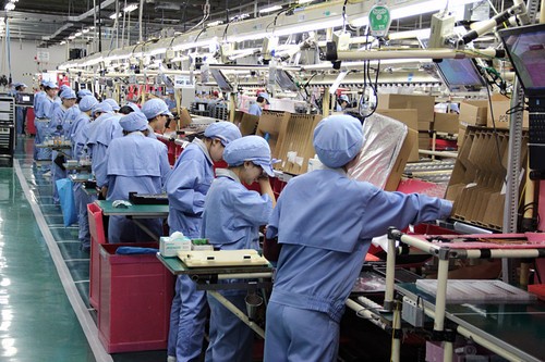 怎样在工厂开展灭鼠工作？工厂灭鼠最佳方法